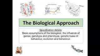 Biological Approach