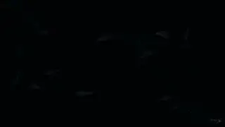 Neon Light Border | snow overlay | background video effects hd black screen | Background Loop