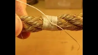 sailors whipping and american whipping