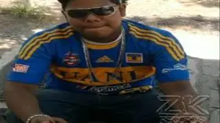Oso negro - ayer soñe