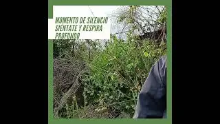 Instante de silencio...