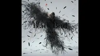 ◆純分享◆Aimer-Black Bird MV 先行公開