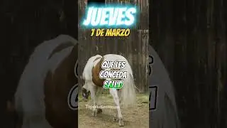 Oración de hoy jueves 7 de marzo 2024