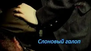 Слоновый галоп (2020)