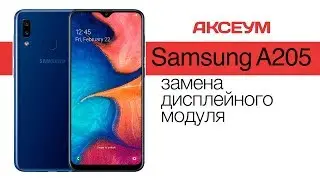 Замена экрана на 📱 Samsung Galaxy A20 2019 (A205) - пошаговый разбор \ Replacement LCD Screen
