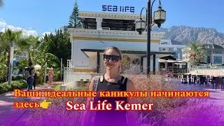 🌊 We have prepared for you a full video review of the Sea Life Kemer hotel in Turkey! 🇹🇷