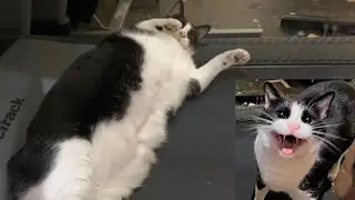 Tammy wants to work out!