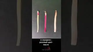 До старта интенсива по колористике 3 дня! Запись и оплата по ссылкам в шапке профиля