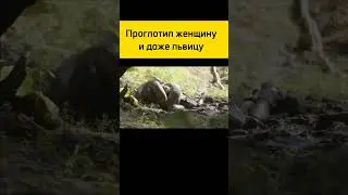 #animals #shortsvideo #animal #nature #wildlife #шортс #шортс2023
