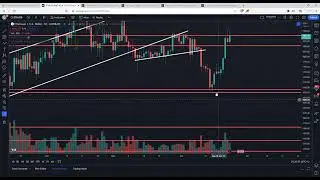 بیت کوین اکنون غیرقابل توقف است! (فصل آلت کوین به زودی؟)