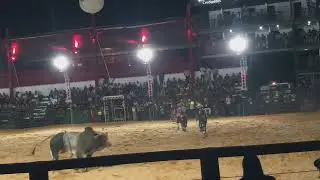 Foi o MELHOR RODEIO DA MINHA VIDA(3)
