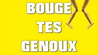Astéréotypie - Calme-toi bouge tes genoux (Visualizer)