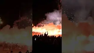 DAS IST MAL NE KNALLKETTE! #feuerwerk #fireworks #silvester #shorts