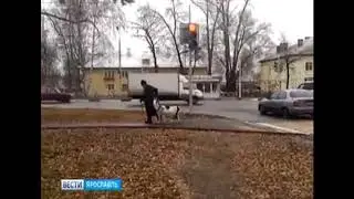 опять КОЗА