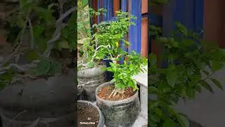 Tak kan pernah kekurangan jika kamu melakukan ini