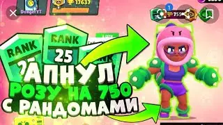 пушу розу на 25 ранг
