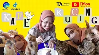 MINUM KOPI BERSAMA KUCING SPHYNX KOK BISA? | Ke Kopicat Groovy aja!