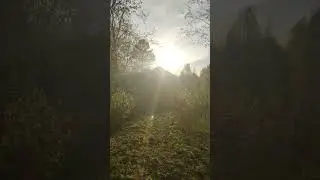 Майский вечер в деревне