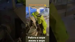 вот так работают матросы