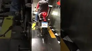 Yamaha R3 (2023) WGP Edition Top Speed on a Dyno