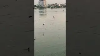 awesome view of kst kota #kst #kota #kotakitarp #shortsyoutube #thenaturenoise