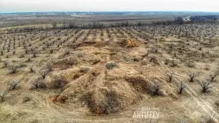 Зона Супперта - тайна скифского некрополя 20.02.2019
