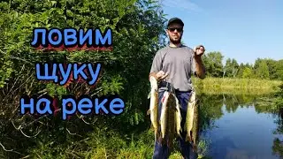 Открытие сезона по щуке. Ito Shiner от Bearking сделал рыбалку