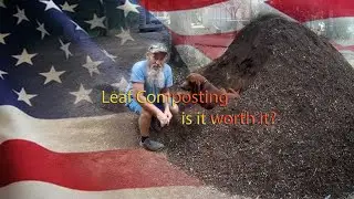 Leaf Composting, is it worth it?