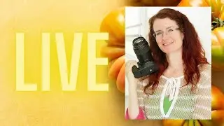 🔴 LIVE - The Business of Food Photography with Christina Peters