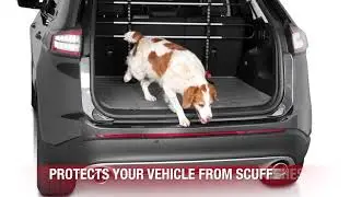 Team Nutz offers:  Weathertech Scratch Resistance