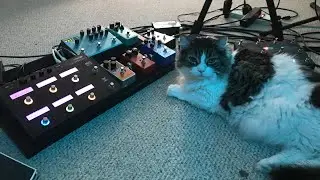 Ambient Guitar for Oliver - Frippertronics and Modular Synth