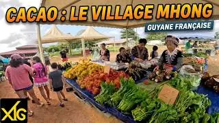 790 Discovering CACAO: The Hmong village, a surprising community in French Guiana!