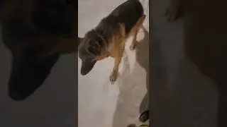 операция дружба 