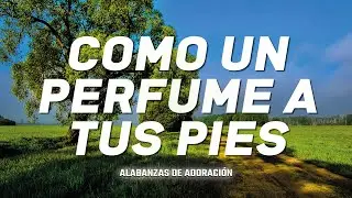 COMO UN PERFUME A TUS PIES  ALABANZAS DE ADORACIÓN - MÚSICA CRISTIANA 2023 - HIMNOS CRISTIANOS
