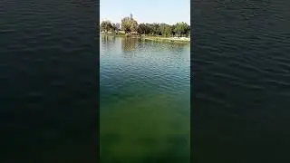 Милли  боґ