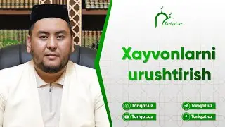 Хайвонларни уруштириш