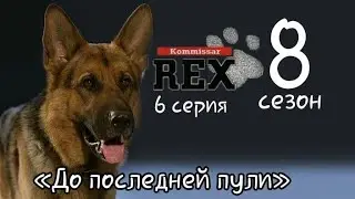 Комиссар Рекс, 8 сезон, 6 серия «До последней пули» (2002)
