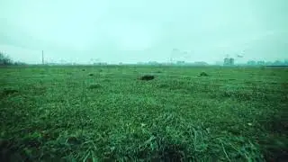 Грибы-тает лед