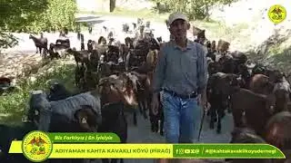 Kurban Bayramı İçin Kurbanlıklarımız Mevcuttur. 🤗🐐