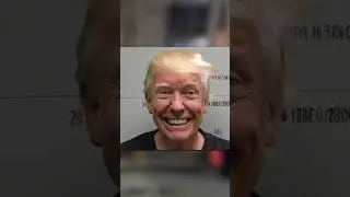 Donald Trump’s Mugshot
