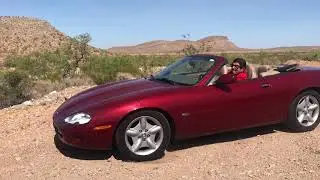 Mr Who a Las Vegas