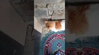 18 мая 2024 г.
