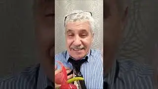 Оххх уж эта свадьба!