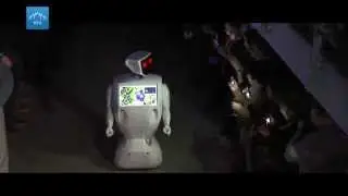 Отзывы и мнения - что говорили гости про Алантима?