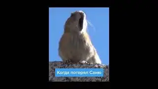 Когда потерял Саню
