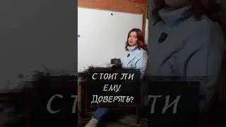 Стоит ли ему доверять?