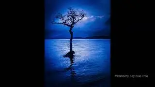 Alba in Pictures Photography Landscapes