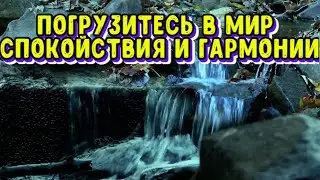 Погрузитесь в мир спокойствия и гармонии