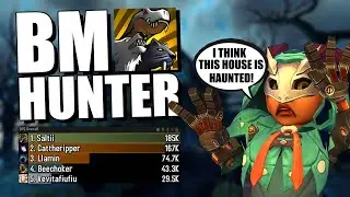 10.2 Beast Mastery Hunter M+ damage is actually SCARY...
