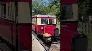 T41 aus Bruchhausen-Vilsen im Harz